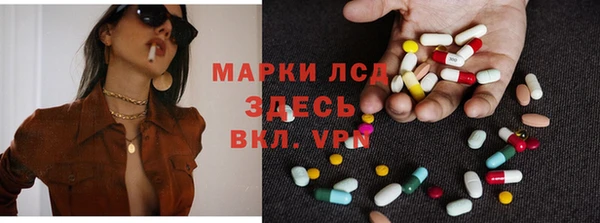 ECSTASY Майский